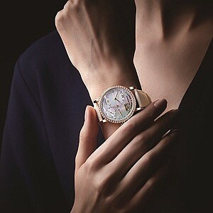 Extraordinary Elegance 非凡魅力 完美再現