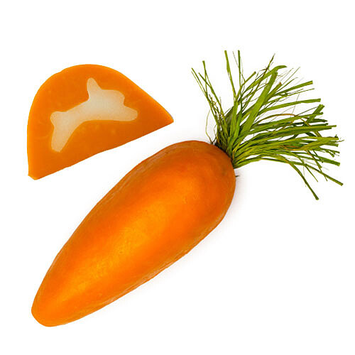 FIGHTING ANIMAL TESTING! 跟著LUSH一起守護動物！