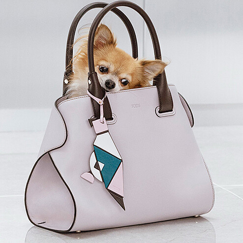 TOD’S廣告短片出爐囉！向率真自我的傻大姊致敬