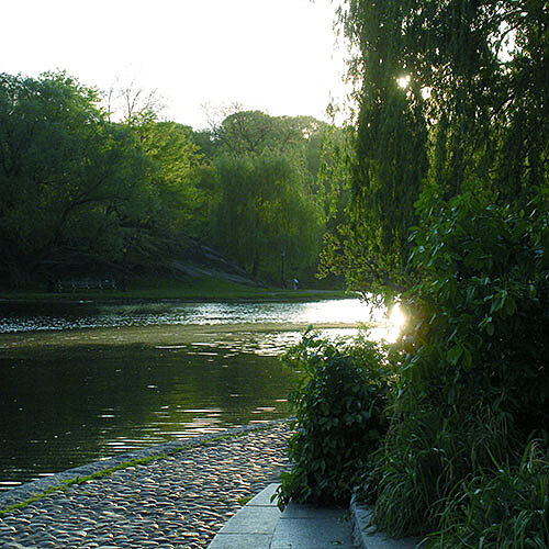 CALVIN KLEIN宣布贊助中央公園《DRIFTING IN DAYLIGHT》藝術展!