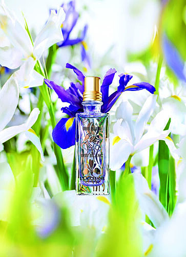 從地中海小鎮漂過來了！歐舒丹「格拉斯鳶尾」香氛新上市