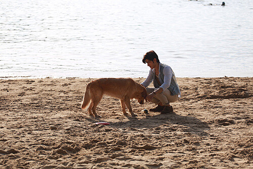 東方熱正夯！BVLGARI《大師微電影》與優酷攜手大拍炙熱愛戀 