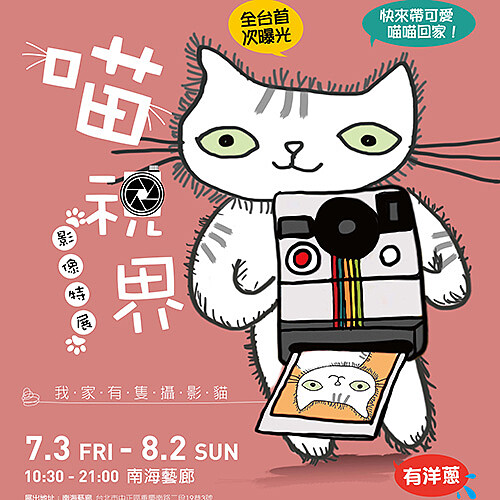 「喵視界」攝影展！喵星人親自掌鏡，7月要來融化你的心