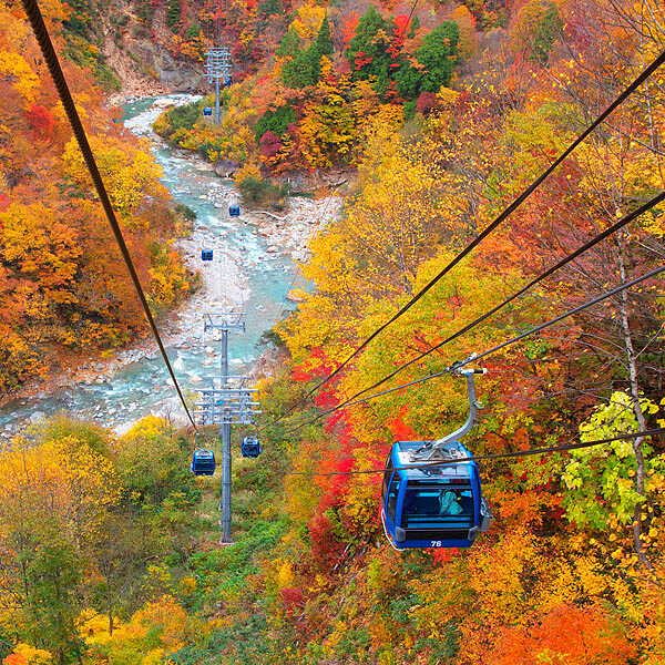 賞紅葉 品美食 騎單車，秘境中的秋日滿足小旅行！