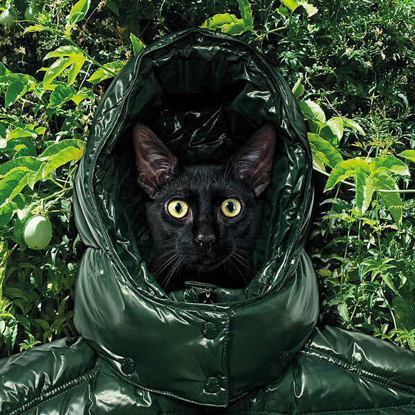 32位當代攝影巨擘傾情詮釋盟可睞MONCLER MAYA經典羽絨外套