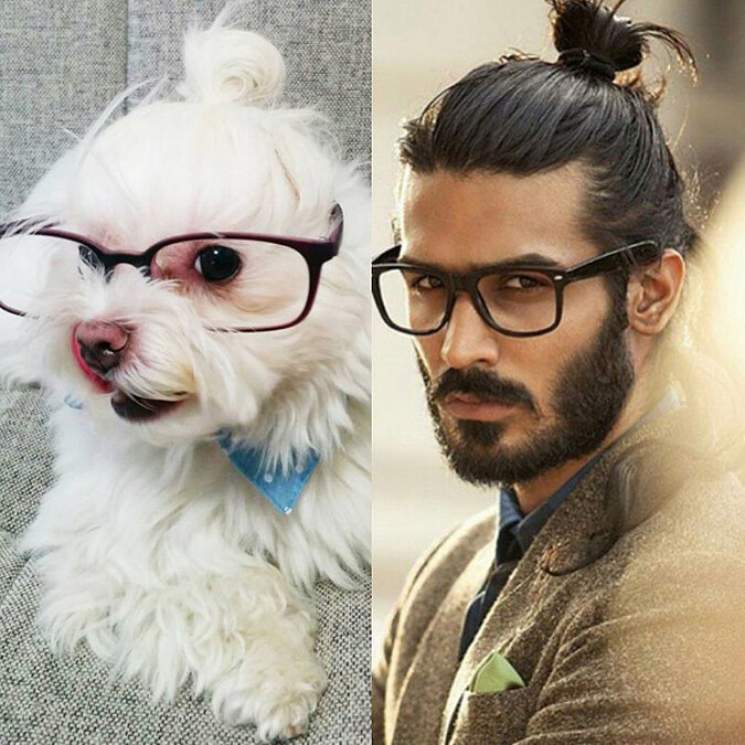 包子頭大對決！男人與狗，你選誰？