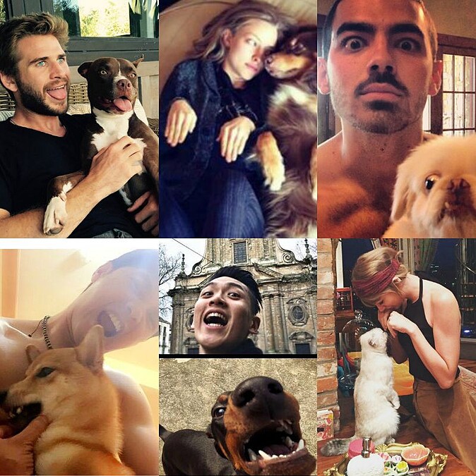 欸幹嘛學我！這些超愛模仿毛小孩的大明星