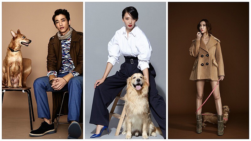 明星與他們的毛小孩們！（劉以豪、王心恬、蔡淑臻）