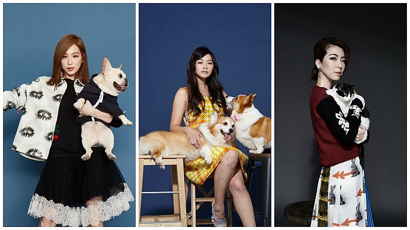 明星與他們的毛小孩們！（王心凌、路嘉欣、邵庭）