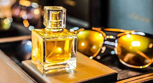 Fashion Collection時尚經典美學【Frency&amp;amp; Mercury眼鏡 】