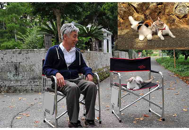 貓奴們無法抵擋！《老師與流浪貓》貓咪的陪伴回憶與亡妻的愛情過往