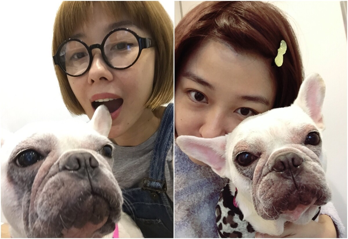 李維維30++少女心：我的心靈暖暖包