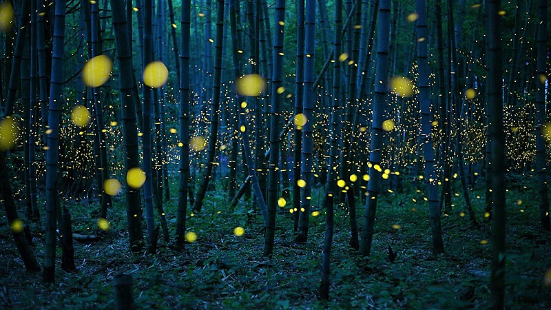 二十張讓你一秒感動的攝影作品，一起看遍全世界～