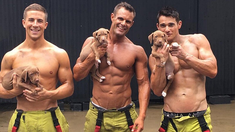 最暖心的消防猛男日曆！救火英雄展愛心，幫毛小孩找新家