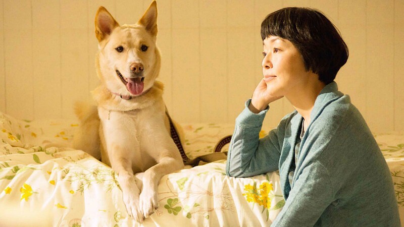 珍惜與毛小孩的相遇!《為你取名的那一天》最賺人熱淚的真實紀錄