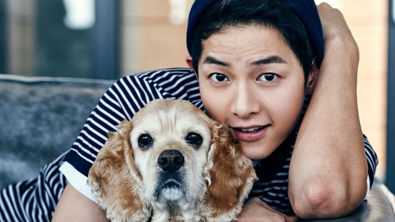 宋仲基,卸下好男人情結