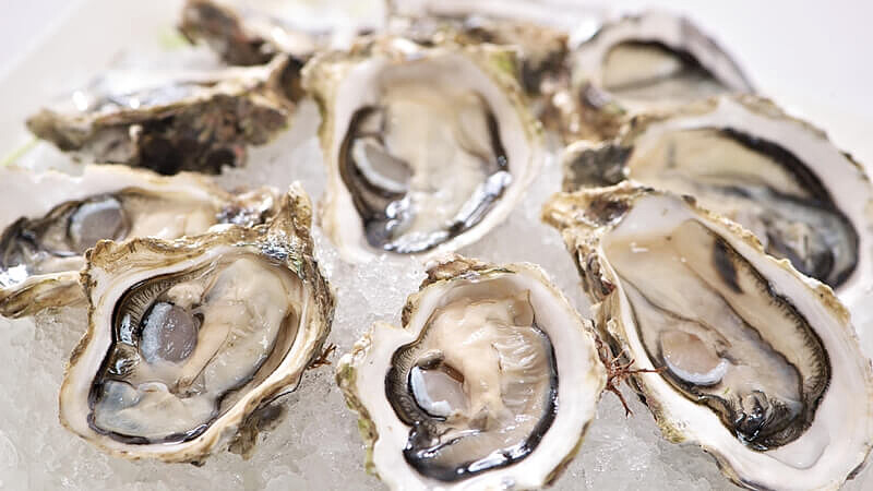 「蠔」氣海鮮吃到飽！神旺飯店伯品廊推出澎湖生蠔季