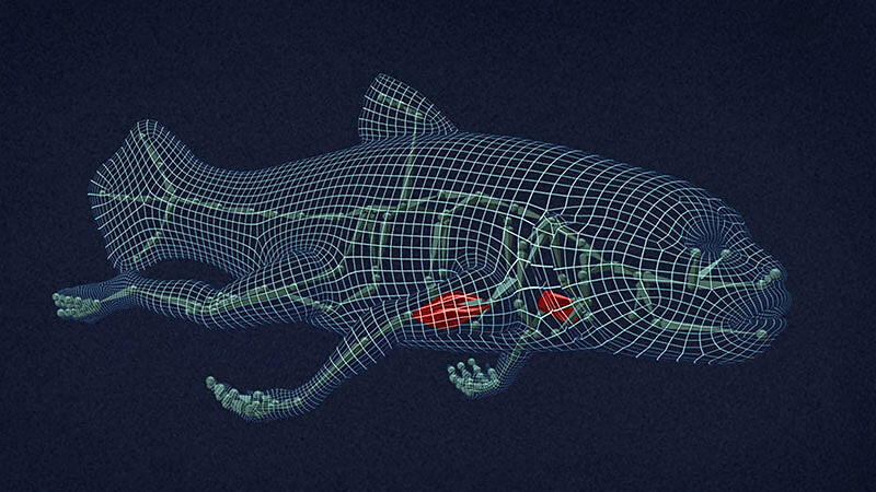 「跨越時空的形變語言。」台北市立美術館《鏡—李小鏡回顧展》