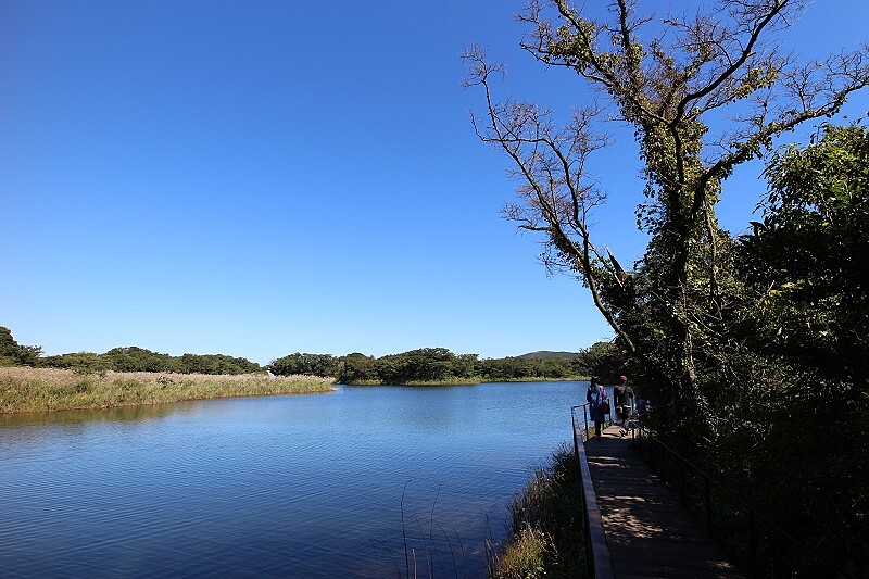 看完夢幻韓劇，當然要去綠色濟州島走一趟，不然要幹嘛！