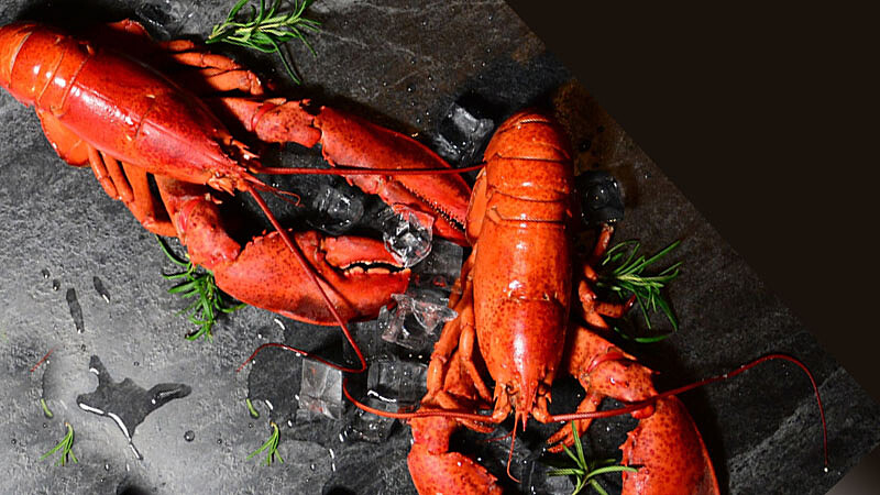 北美老饕都期盼的快閃美味來了！超乎你對龍蝦的味蕾想像