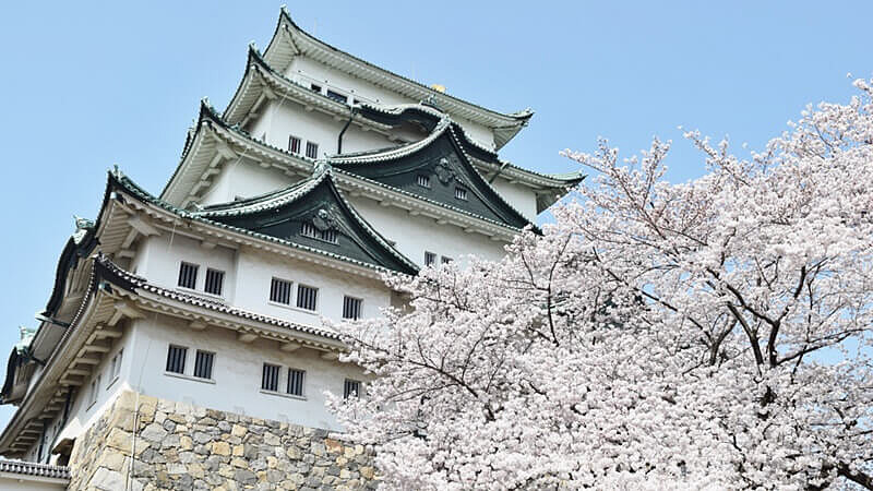 暑假必玩！日本中部城市吸引人的6大亮點