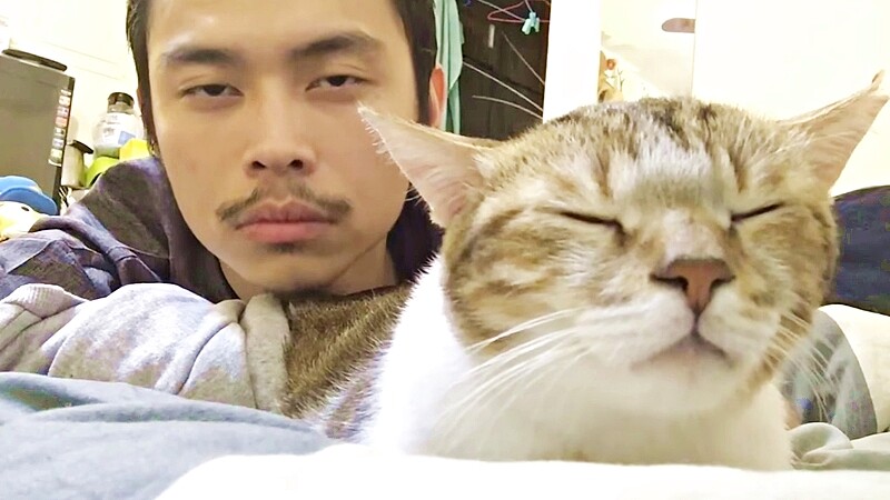 史上最療癒！超夯萌寵大集合