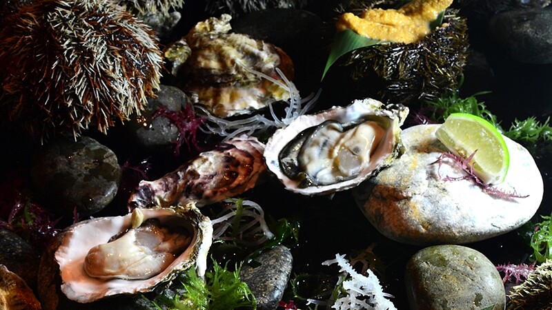 炎炎夏日消暑良方！君品酒店海鮮下午茶透心涼