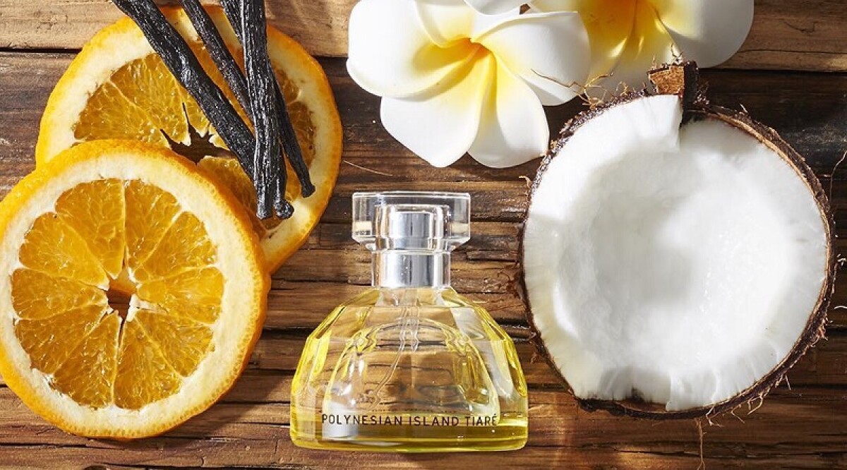 這才是夏天的香味！甜美梔子花讓你置身島嶼美境