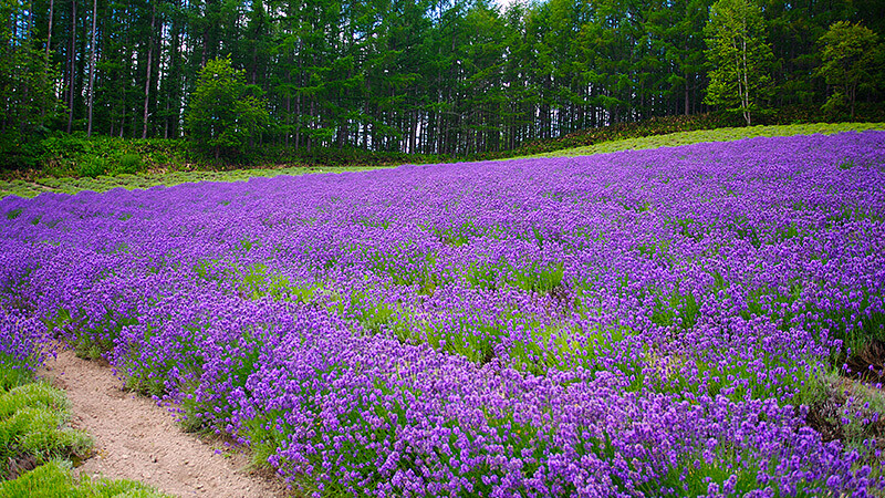 時尚旅遊打包術，下一站–北海道