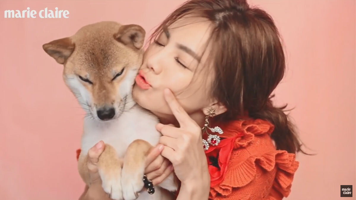 寵物自拍指南 ，陳嘉樺【搶先快報】 