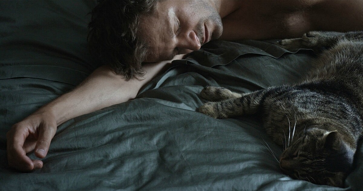 跨越國界為愛連結！酷兒影展不能錯過的13部優質片單