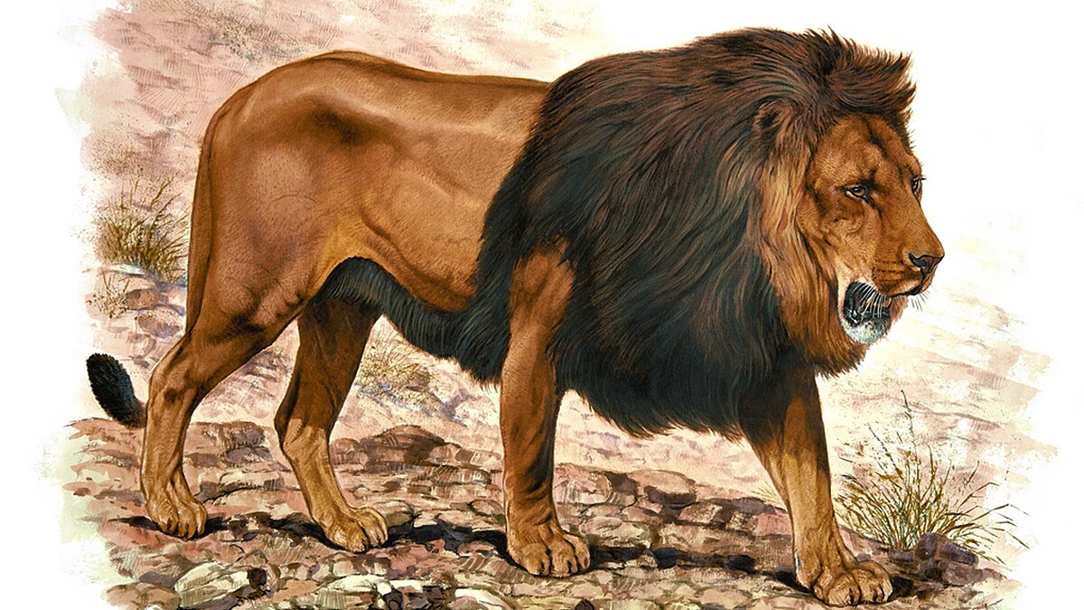 回歸地球初衷!愛馬仕<野性與脆弱>動物畫展BELLAVITA揭幕