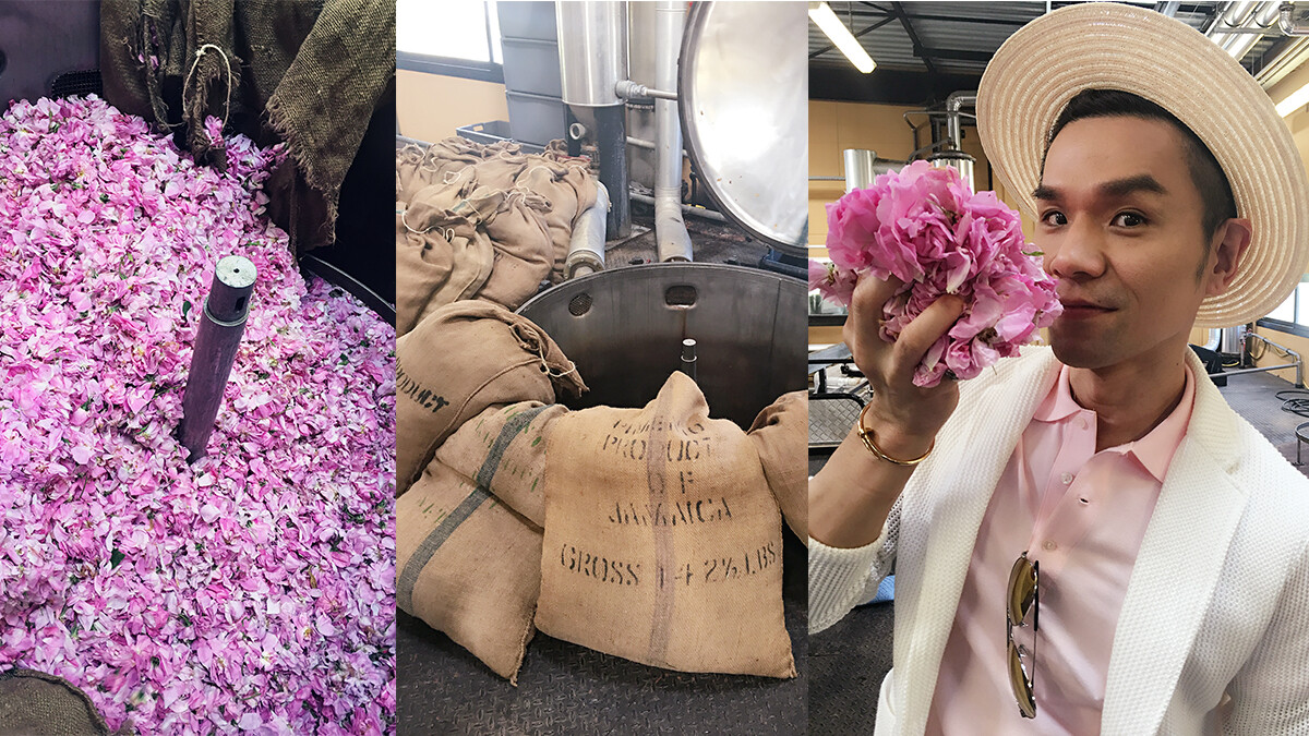 香奈兒 N°5 L’EAU清新晨露淡香水 給你全新輕盈體驗