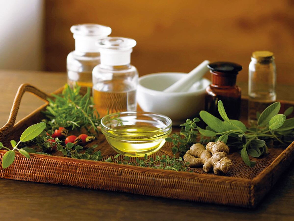 秀髮更要嬌寵！山茶花養髮超奢華，怎能不認識這美髮神花！