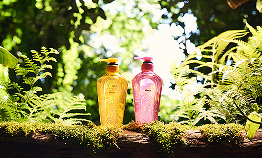 冬天用頂級山茶花精油放大絕，給頭皮&amp;amp;髮絲奢華養護吧！