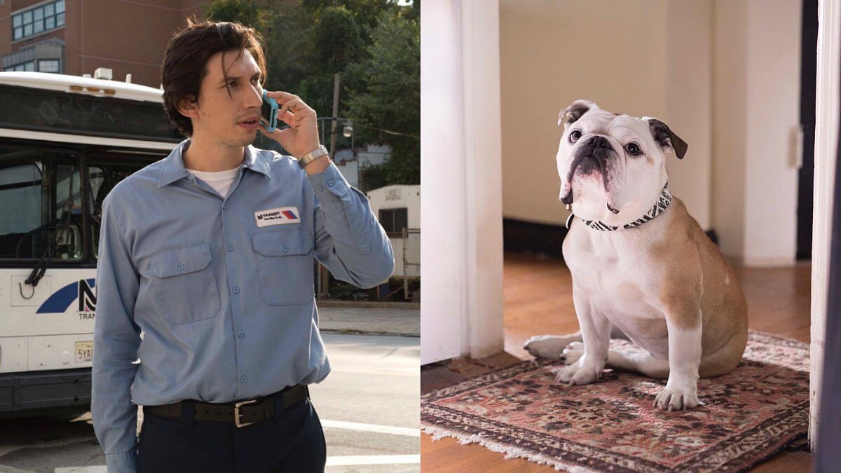 尋找城市裡的小幸福！《派特森》：「我要把關於妳的一切，通通寫進詩裡。」