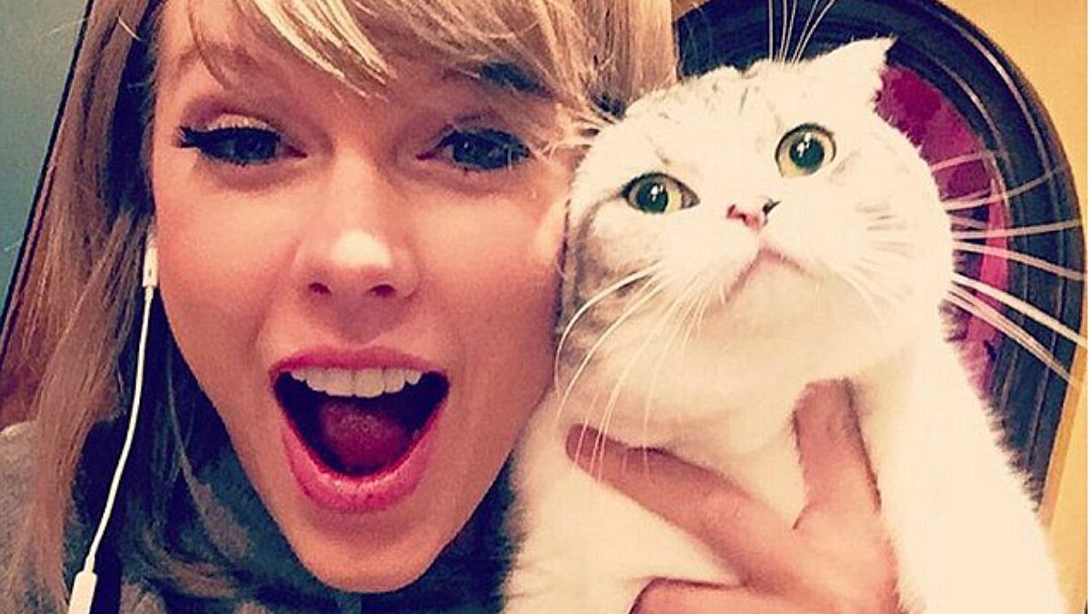 經營IG的小心機！從2014年就開始，小天后泰勒絲po文中刻意營造的俏皮秘密