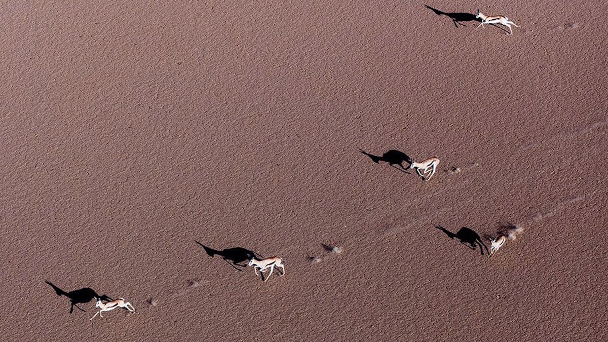 遊走於飄渺的虛實之間！澄澈透明感攝影紀錄非洲南方之美！