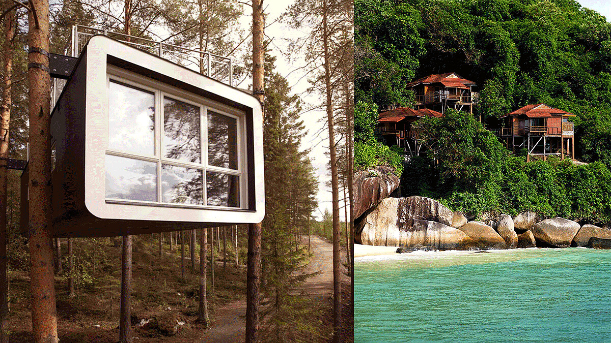 出國解禁預定！全球「夢幻樹屋旅店」特蒐