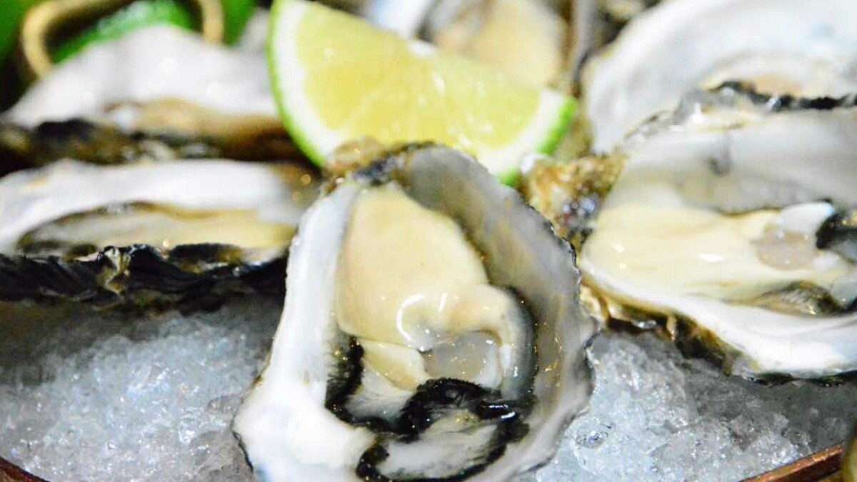 鮮美生蠔吃到飽！君品酒店雲軒推「思萊河生蠔饗宴」老饕必嘗