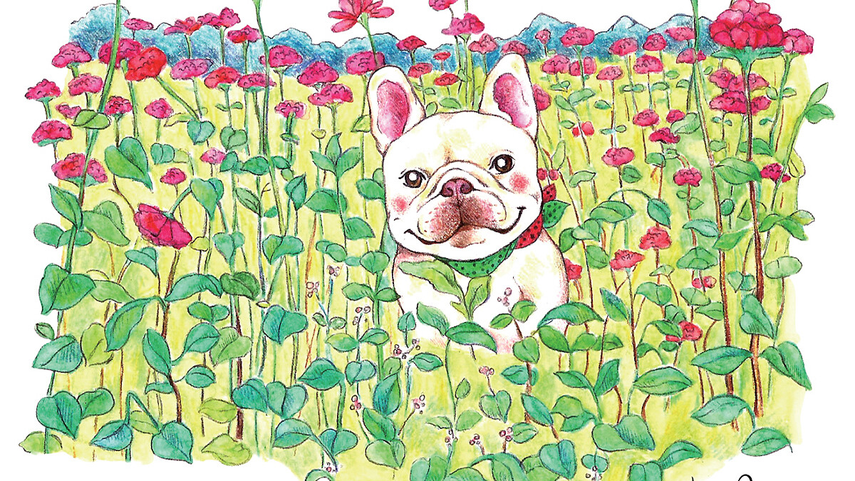 每個人心中都有個像法鬥的孩子《人生苦短，必須性感：法鬥哥3週年經典明信片書》