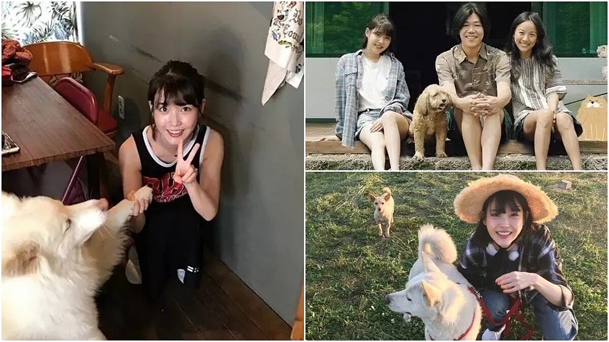 被國民妹妹IU圈粉！來到濟洲島《孝利家民宿》打掃、料理、瑜珈運動…樣樣都得做