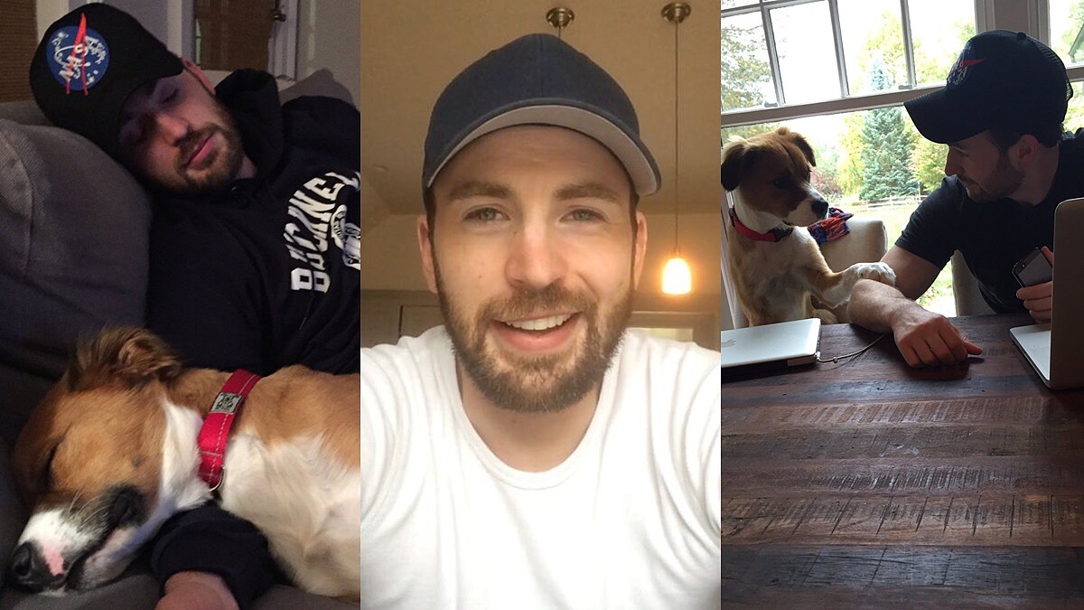 愛狗男人才性感！又親又舔、擁著入睡...「美國隊長」克里斯伊凡和毛小孩這些互動讓人超羨慕