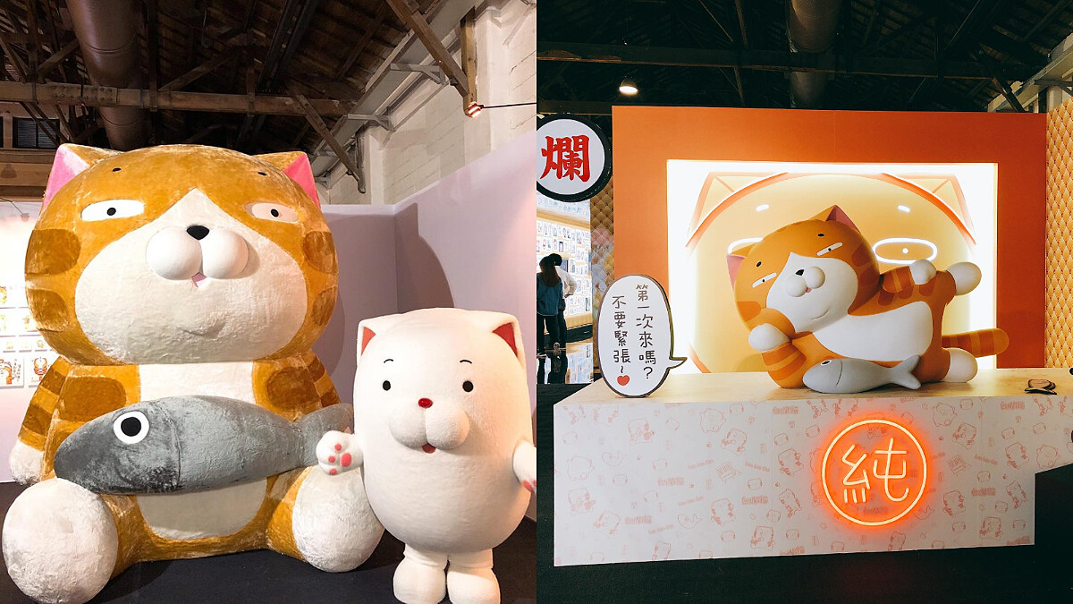 就愛他的嗆辣臭跩！《白爛貓超有事特展》療癒登場，煩的太可愛