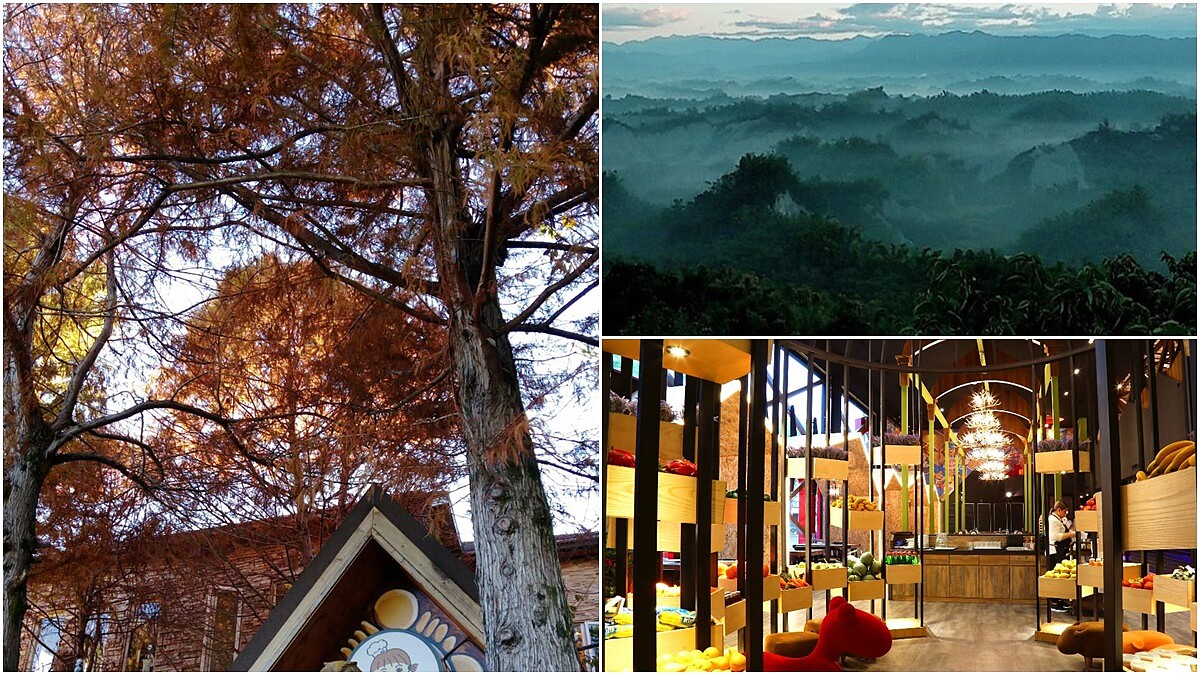 「浪漫落羽松、巨大華麗城堡、從海平面升起的日出」盤點全台6個可以迎接2018新年的浪漫景點