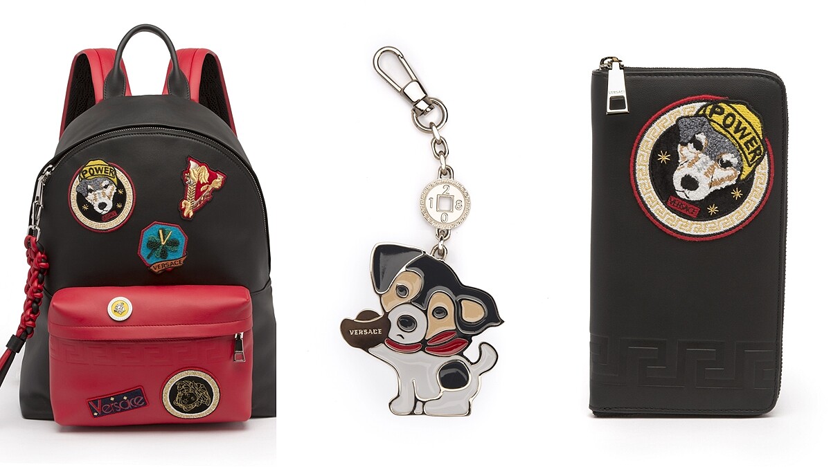 Versace總監愛犬躍上包包耍萌！汪星人又要失心瘋的狗狗系列，限定登場