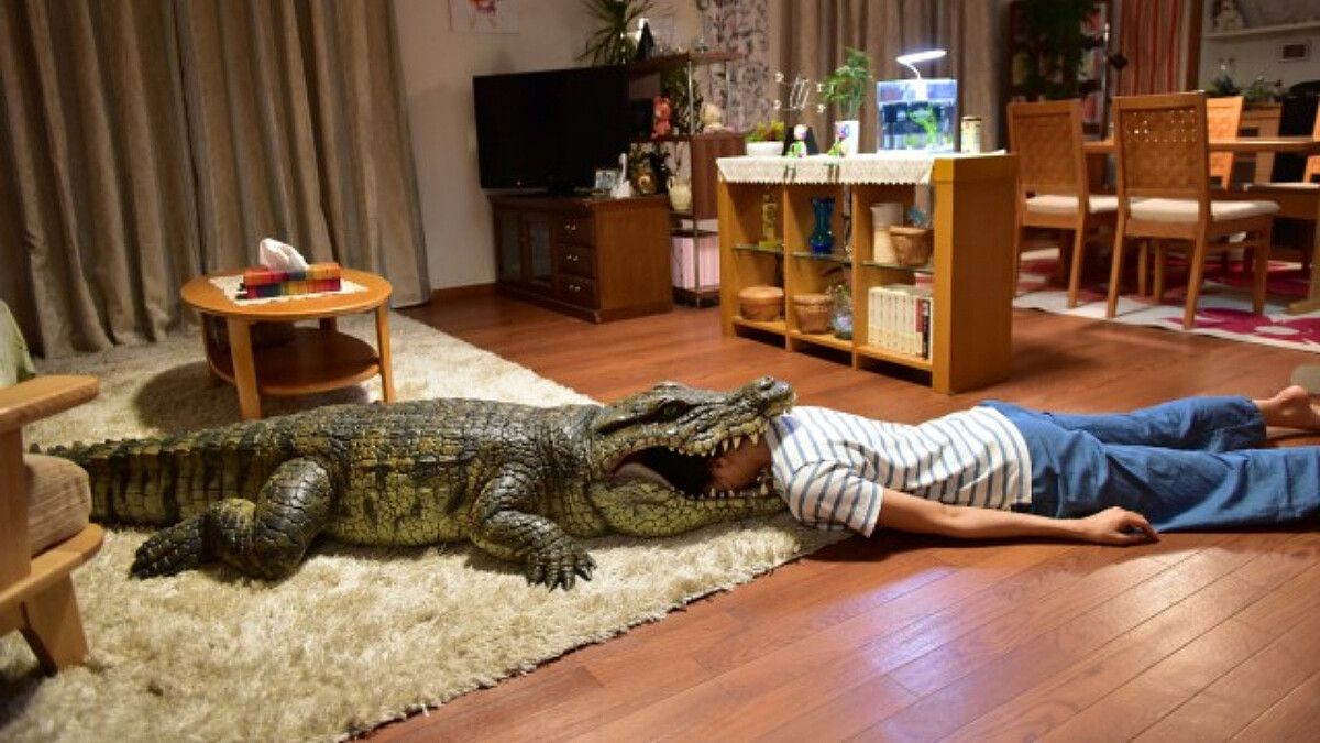 只有日本人才能超越日本人！超荒謬真實事件《每天回家老婆都在裝死》電影版初夏感人登場～