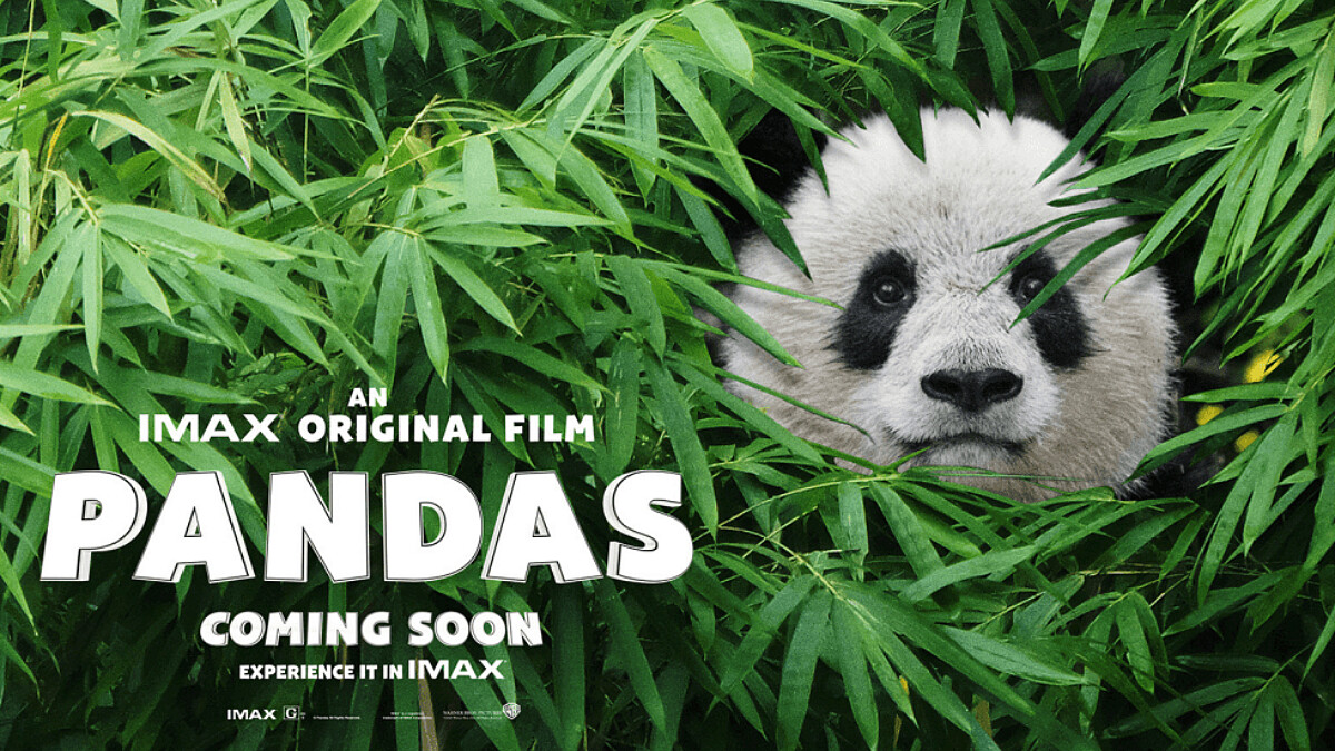 這麼萌呆合法嗎?IMAX原創紀錄片《熊貓們》,看了就想馬上抱緊處裡阿~