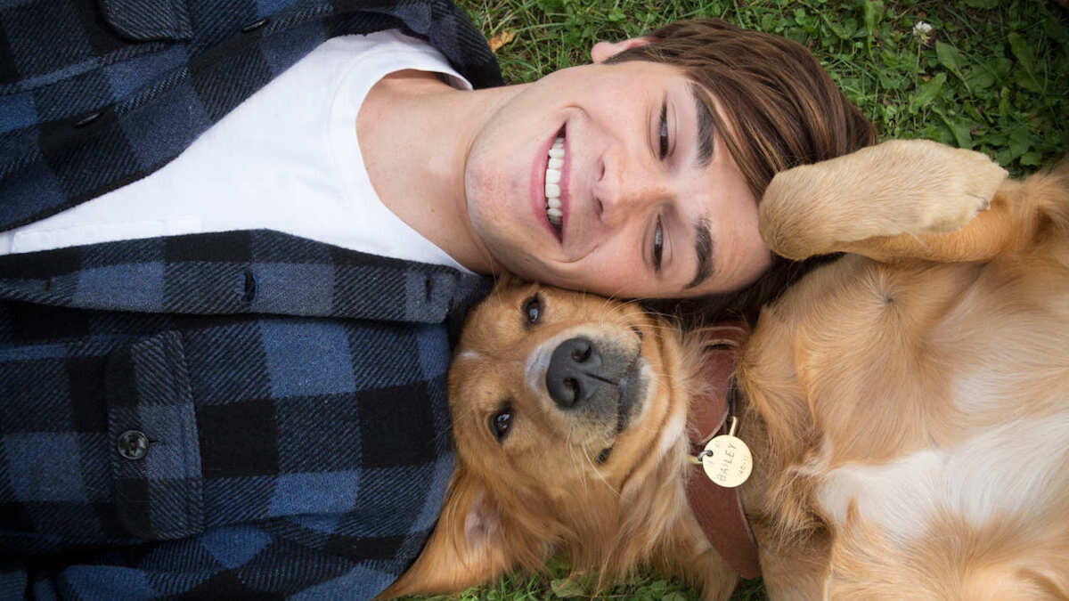 【李維菁專欄】小黃