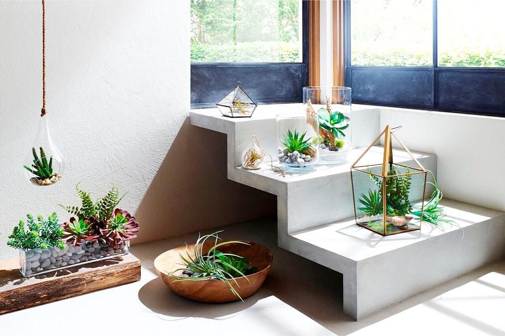 春夏就是要滿滿綠意 Crate and Barrel 以多肉植物結合質感盆景 為春夏揭幕